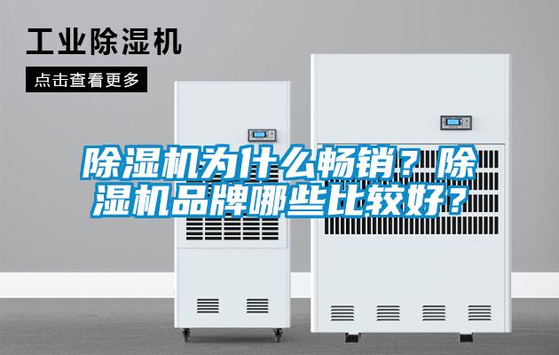 除濕機(jī)為什么暢銷？除濕機(jī)品牌哪些比較好？