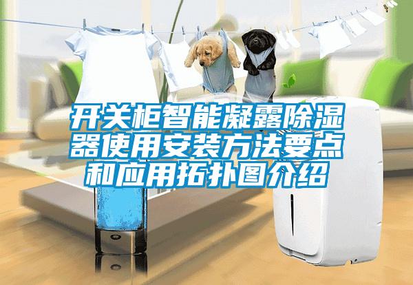 開(kāi)關(guān)柜智能凝露除濕器使用安裝方法要點(diǎn)和應(yīng)用拓?fù)鋱D介紹