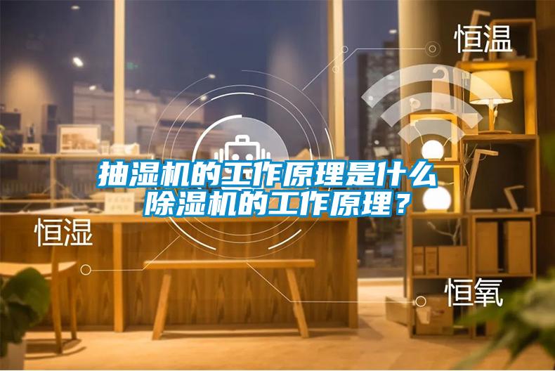 抽濕機(jī)的工作原理是什么 除濕機(jī)的工作原理？