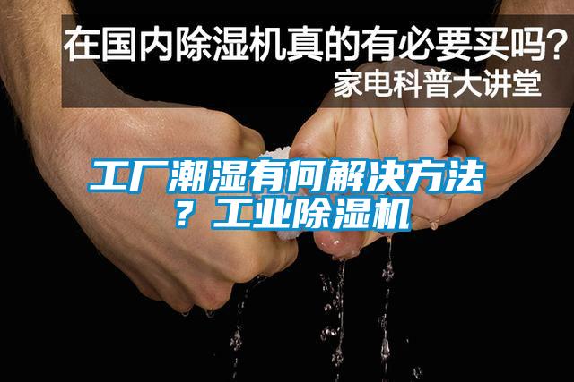 工廠潮濕有何解決方法？工業(yè)除濕機(jī)