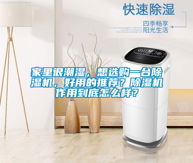 家里很潮濕，想選購一臺除濕機，好用的推薦？除濕機作用到底怎么樣？