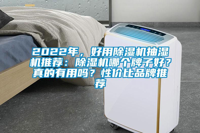 2022年，好用除濕機(jī)抽濕機(jī)推薦：除濕機(jī)哪個(gè)牌子好？真的有用嗎？性價(jià)比品牌推薦