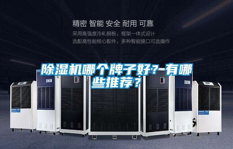 除濕機(jī)哪個(gè)牌子好？有哪些推薦？