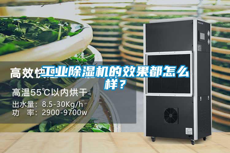 工業(yè)除濕機(jī)的效果都怎么樣？