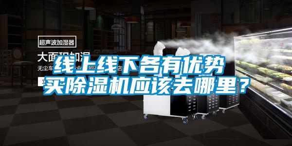 線上線下各有優(yōu)勢 買除濕機(jī)應(yīng)該去哪里？