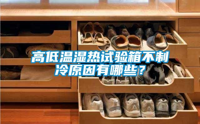 高低溫濕熱試驗箱不制冷原因有哪些？