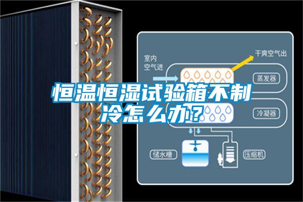 恒溫恒濕試驗(yàn)箱不制冷怎么辦？