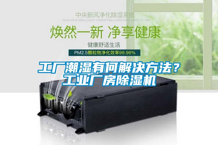 工廠潮濕有何解決方法？工業(yè)廠房除濕機