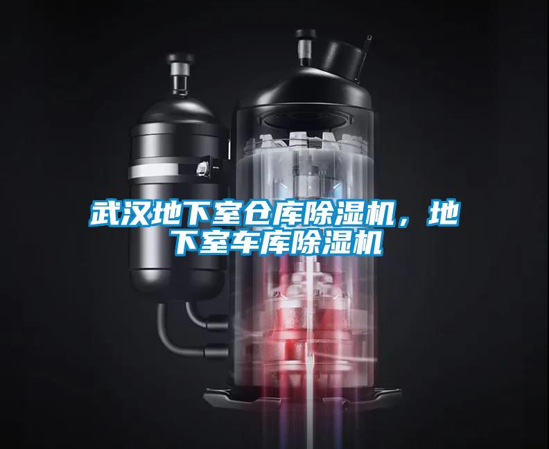 武漢地下室倉庫除濕機，地下室車庫除濕機
