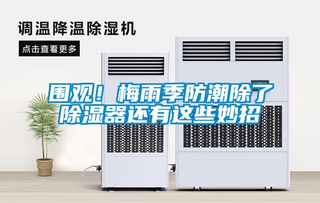 圍觀！梅雨季防潮除了除濕器還有這些妙招