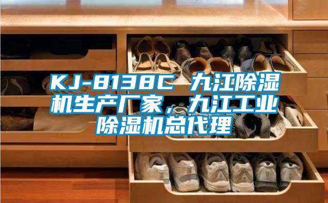 KJ-8138C 九江除濕機生產(chǎn)廠家，九江工業(yè)除濕機總代理