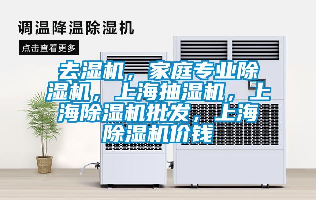 去濕機，家庭專業(yè)除濕機，上海抽濕機，上海除濕機批發(fā)，上海除濕機價錢