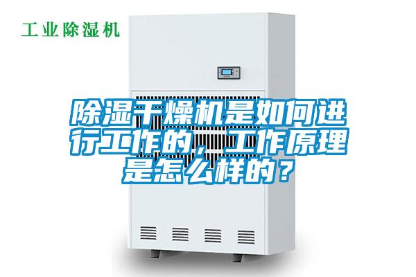 除濕干燥機(jī)是如何進(jìn)行工作的，工作原理是怎么樣的？