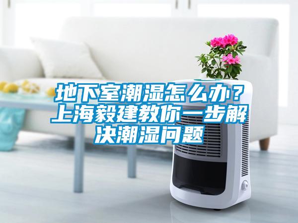 地下室潮濕怎么辦？上海毅建教你一步解決潮濕問題