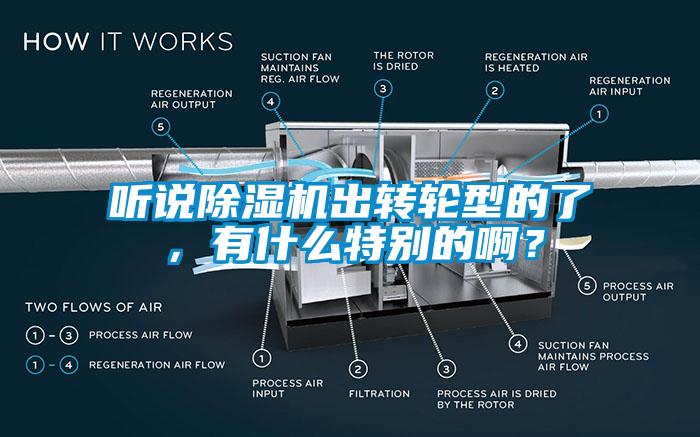 聽說除濕機(jī)出轉(zhuǎn)輪型的了，有什么特別的??？