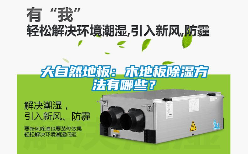 大自然地板：木地板除濕方法有哪些？