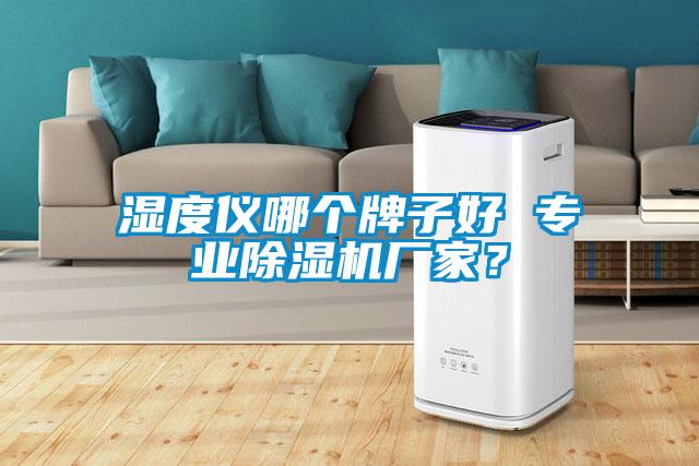 濕度儀哪個牌子好 專業(yè)除濕機廠家？