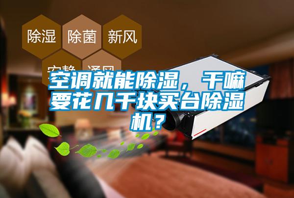 空調(diào)就能除濕，干嘛要花幾千塊買臺除濕機？