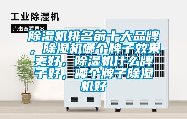 除濕機(jī)排名前十大品牌，除濕機(jī)哪個牌子效果更好，除濕機(jī)什么牌子好，哪個牌子除濕機(jī)好