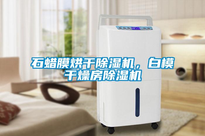 石蠟?zāi)ず娓沙凉駲C(jī)，白模干燥房除濕機(jī)