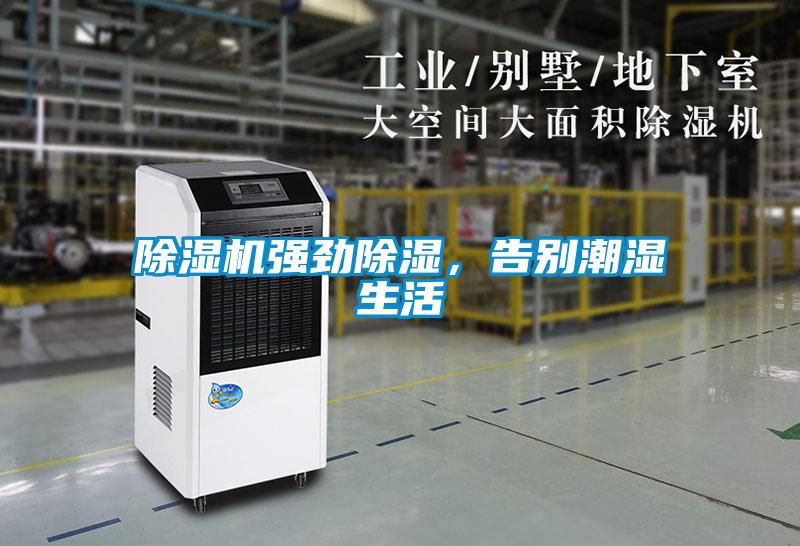 除濕機強勁除濕，告別潮濕生活