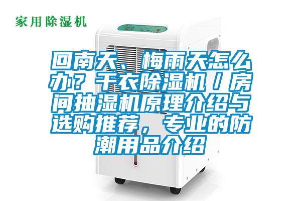 回南天、梅雨天怎么辦？干衣除濕機(jī)／房間抽濕機(jī)原理介紹與選購?fù)扑]，專業(yè)的防潮用品介紹