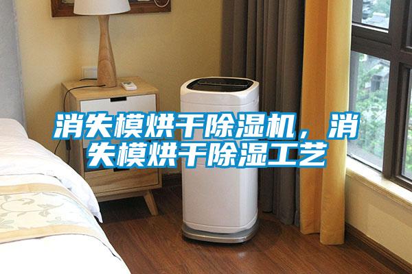 消失模烘干除濕機，消失模烘干除濕工藝