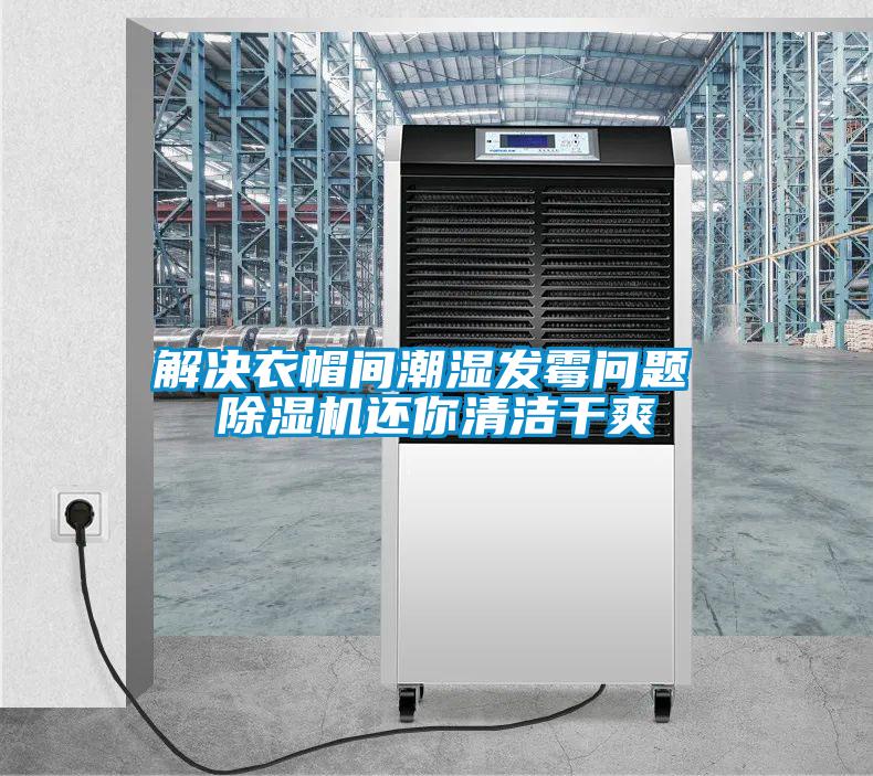 解決衣帽間潮濕發(fā)霉問(wèn)題 除濕機(jī)還你清潔干爽