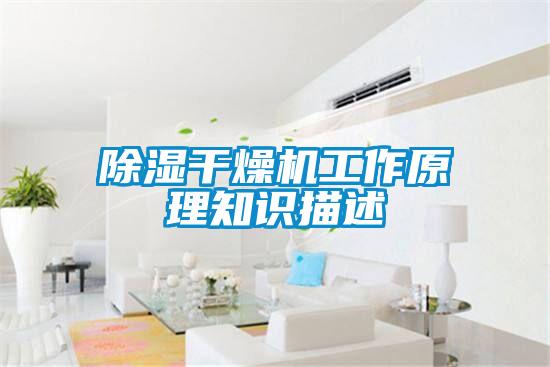 除濕干燥機(jī)工作原理知識描述
