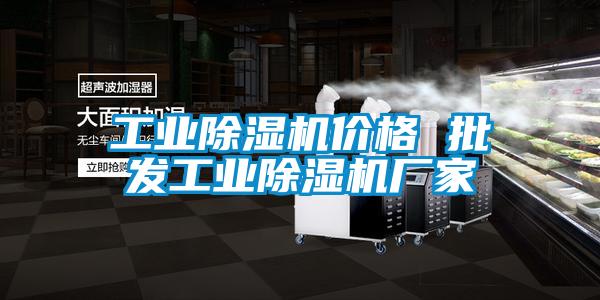 工業(yè)除濕機價格 批發(fā)工業(yè)除濕機廠家