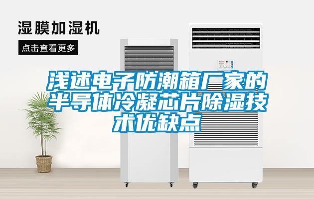 淺述電子防潮箱廠家的半導體冷凝芯片除濕技術優(yōu)缺點
