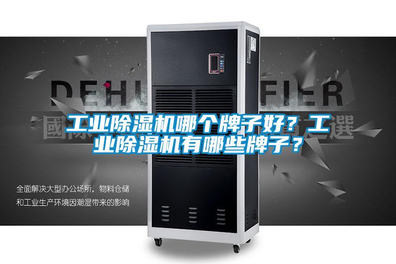 工業(yè)除濕機(jī)哪個(gè)牌子好？工業(yè)除濕機(jī)有哪些牌子？
