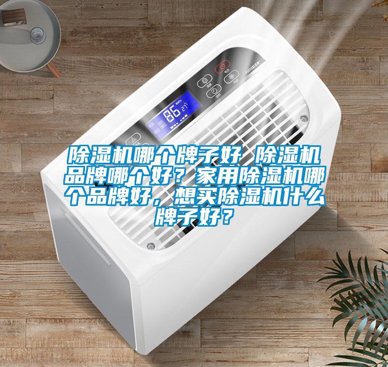 除濕機哪個牌子好 除濕機品牌哪個好？家用除濕機哪個品牌好，想買除濕機什么牌子好？