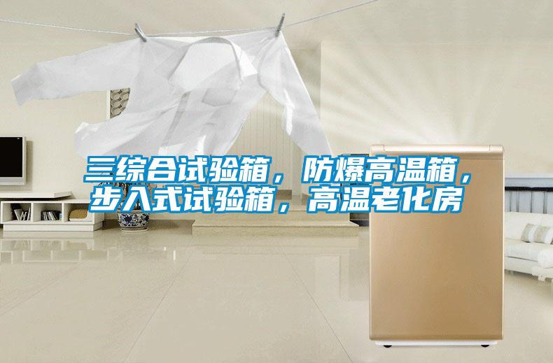 三綜合試驗(yàn)箱，防爆高溫箱，步入式試驗(yàn)箱，高溫老化房