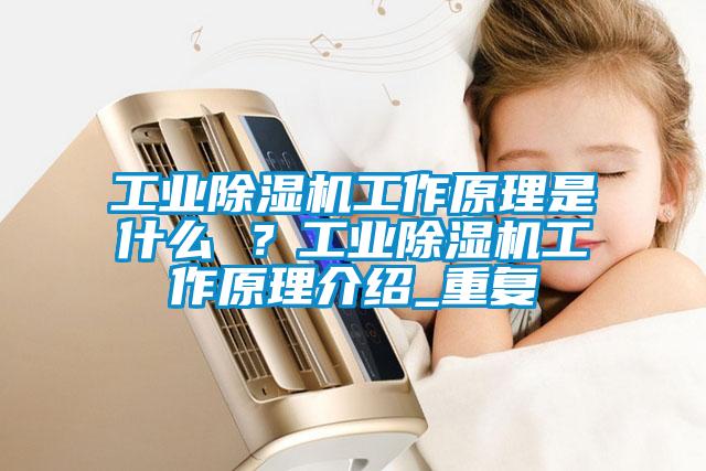 工業(yè)除濕機工作原理是什么 ？工業(yè)除濕機工作原理介紹_重復
