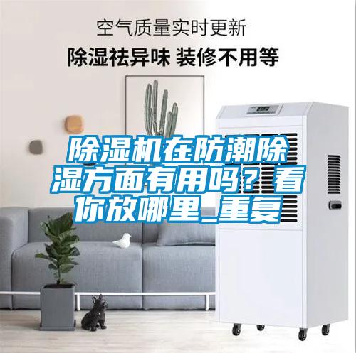 除濕機(jī)在防潮除濕方面有用嗎？看你放哪里_重復(fù)