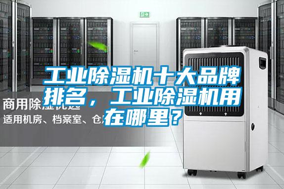工業(yè)除濕機(jī)十大品牌排名，工業(yè)除濕機(jī)用在哪里？