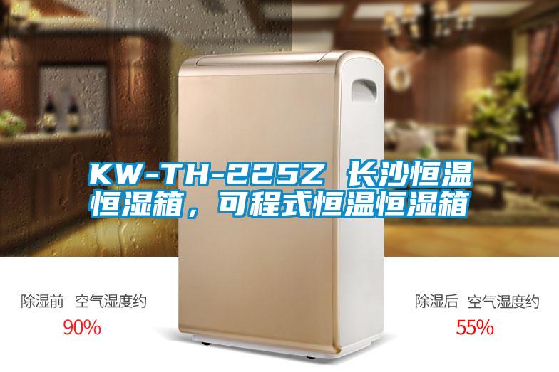 KW-TH-225Z 長沙恒溫恒濕箱，可程式恒溫恒濕箱