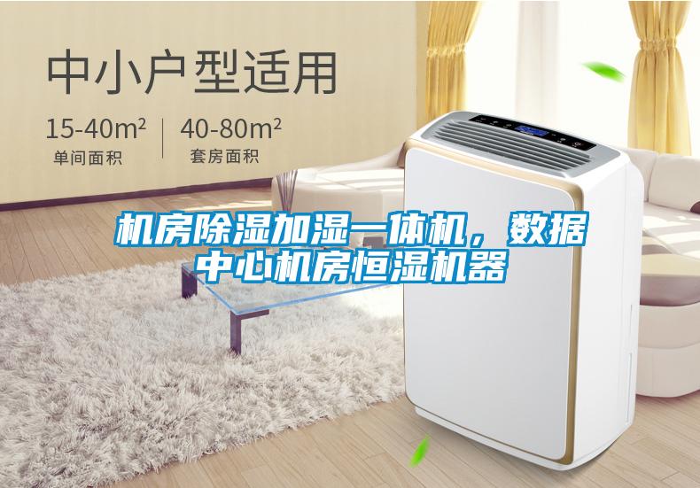 機(jī)房除濕加濕一體機(jī)，數(shù)據(jù)中心機(jī)房恒濕機(jī)器