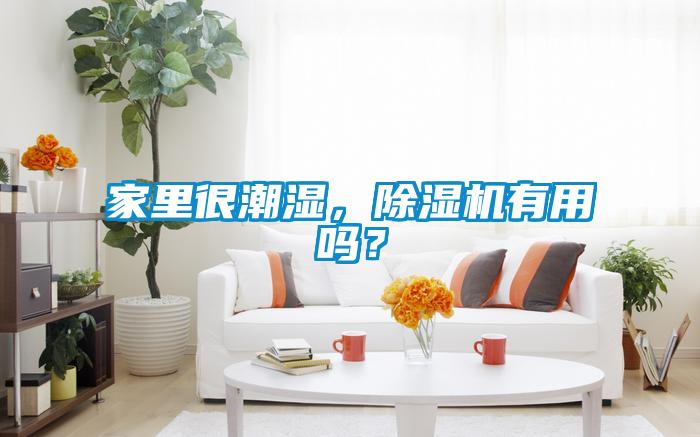 家里很潮濕，除濕機有用嗎？
