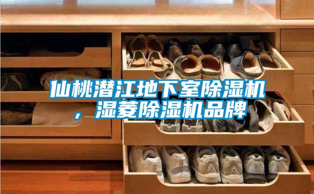 仙桃潛江地下室除濕機(jī)，濕菱除濕機(jī)品牌
