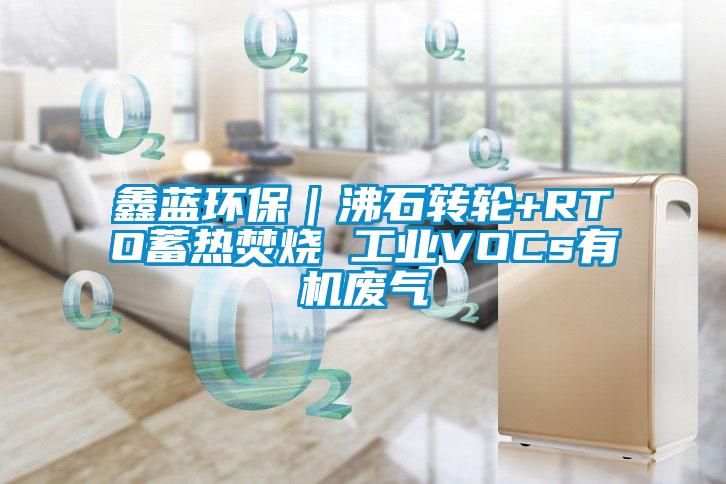 鑫藍環(huán)保｜沸石轉輪+RTO蓄熱焚燒 工業(yè)VOCs有機廢氣