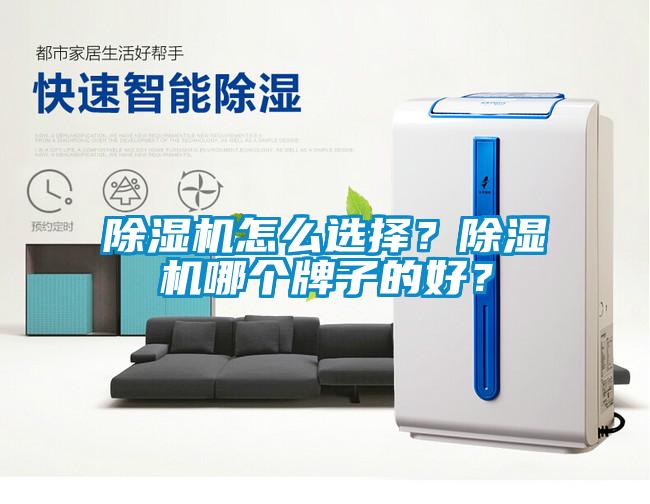 除濕機(jī)怎么選擇？除濕機(jī)哪個(gè)牌子的好？