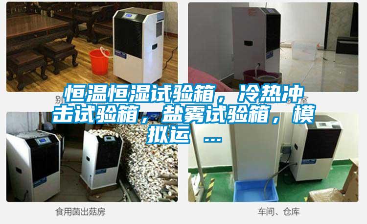 恒溫恒濕試驗箱，冷熱沖擊試驗箱，鹽霧試驗箱，模擬運 ...