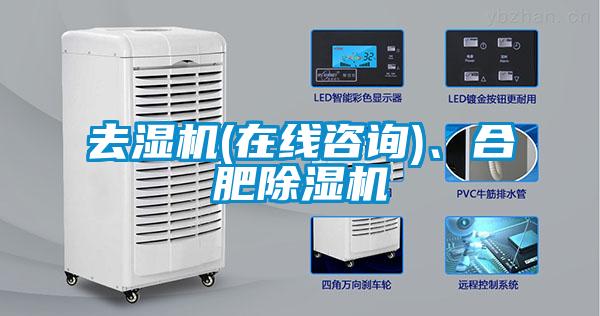 去濕機(jī)(在線咨詢)、合肥除濕機(jī)