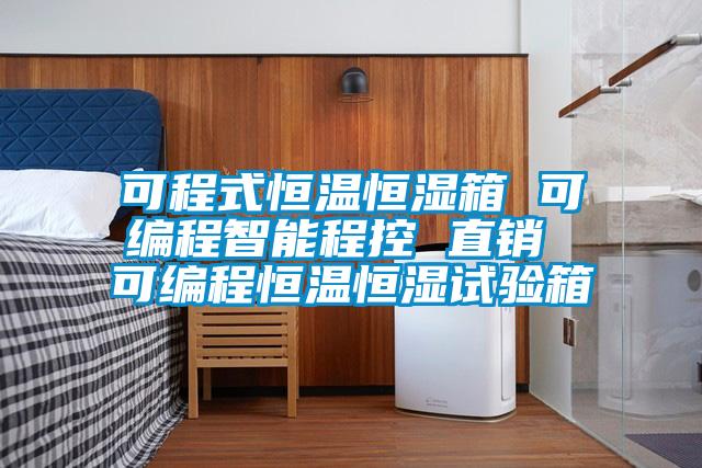 可程式恒溫恒濕箱 可編程智能程控 直銷(xiāo) 可編程恒溫恒濕試驗(yàn)箱
