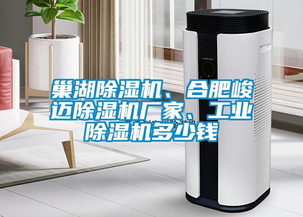 巢湖除濕機(jī)、合肥峻邁除濕機(jī)廠家、工業(yè)除濕機(jī)多少錢