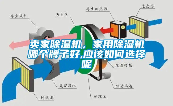 賣(mài)家除濕機(jī)，家用除濕機(jī)哪個(gè)牌子好,應(yīng)該如何選擇呢