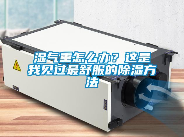濕氣重怎么辦？這是我見過最舒服的除濕方法