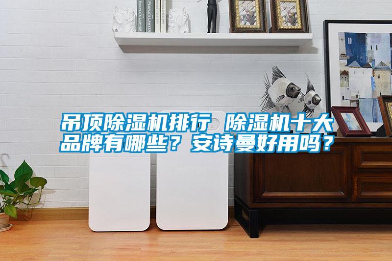 吊頂除濕機(jī)排行 除濕機(jī)十大品牌有哪些？安詩(shī)曼好用嗎？